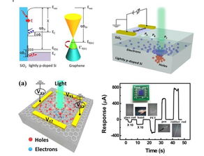 石墨烯光电器件研究迎来新突破 东南大学团队取得重要进展